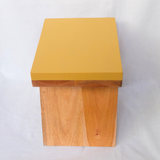 Repapips Bangkito - Yellow