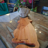 Bulk Order and Wholesale