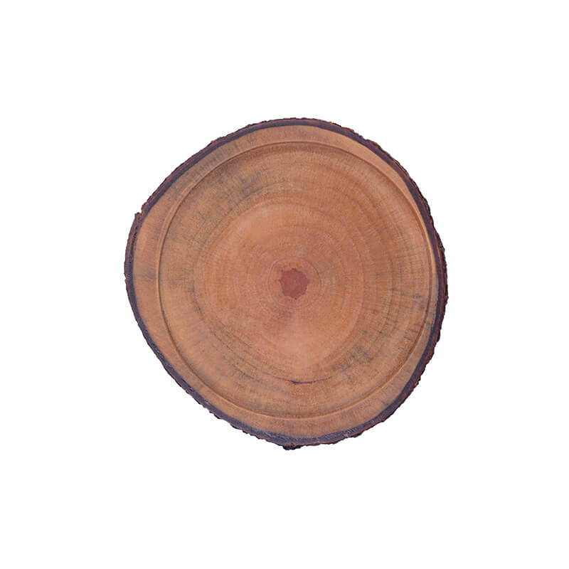 Branch Coaster with Hole